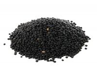 עדשים שחורות