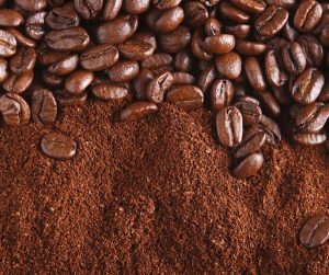 קפה וחליטות – כל מה שצריך לדעת
